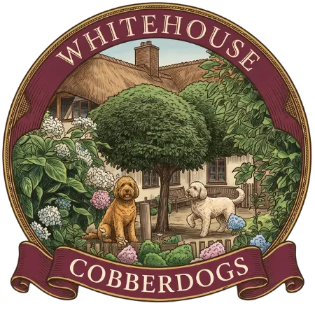 Whitehouse Cobberdogs