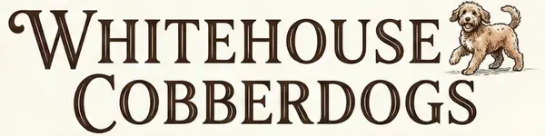 Whitehouse Cobberdogs